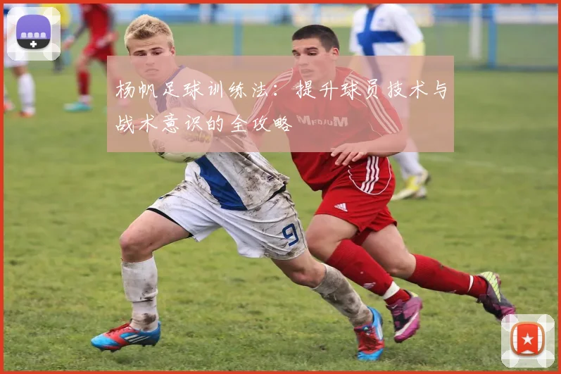 杨帆足球训练法:提升球员技术与战术意识的全攻略