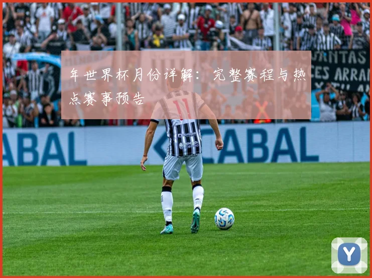 年世界杯月份详解：完整赛程与热点赛事预告